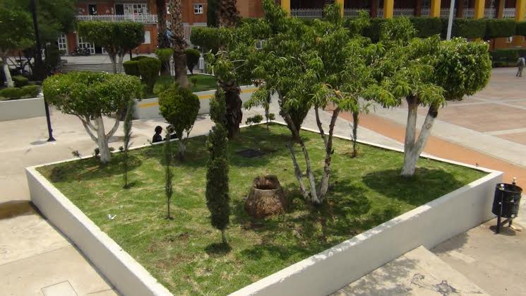 Continua embellecimiento de la explanada municipal de Valle de Chalco 