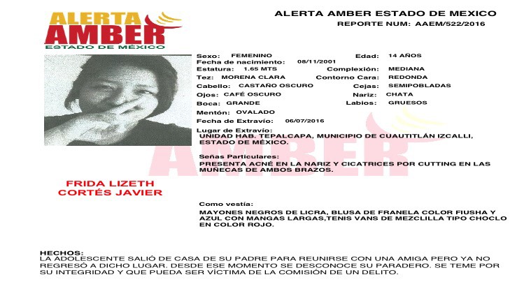 Alerta Amber Estado de México