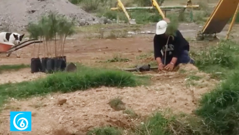 Autoridades en San Miguel la Tablas en Valle de Chalco realizan reforestación