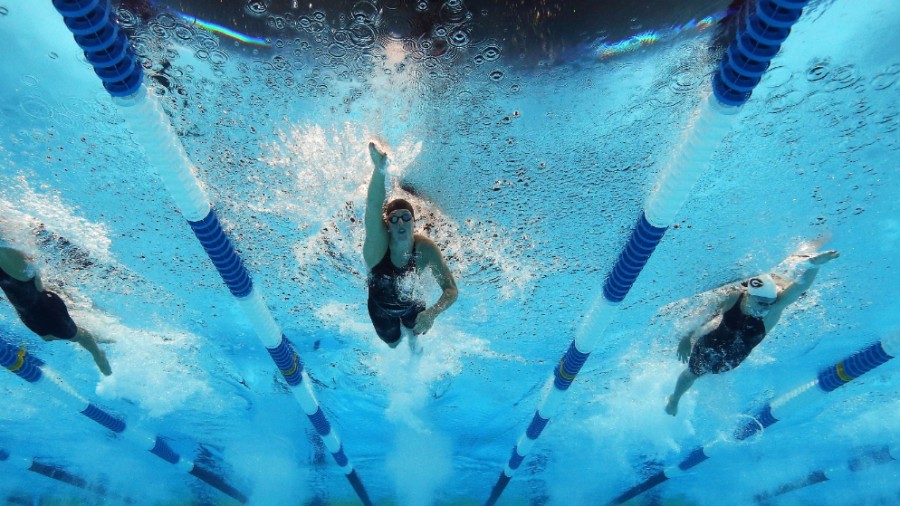 Curso de verano en alberca semiolímpica de San Buenaventura 