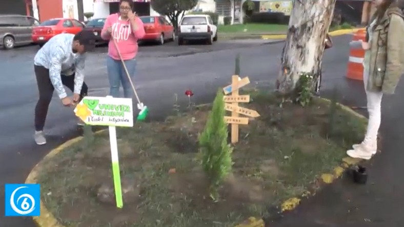 Jóvenes universitarios realizaron reforestación de entramo del camellón en Acozac 