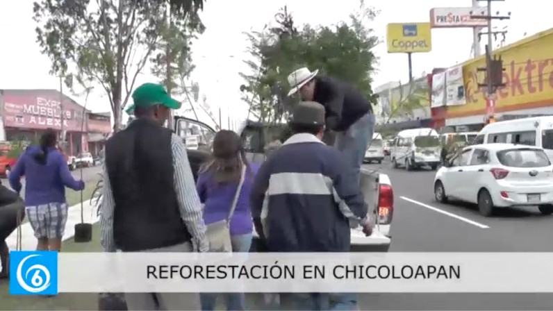 Gobierno de Chicoloapan realiza actividades de reforestación