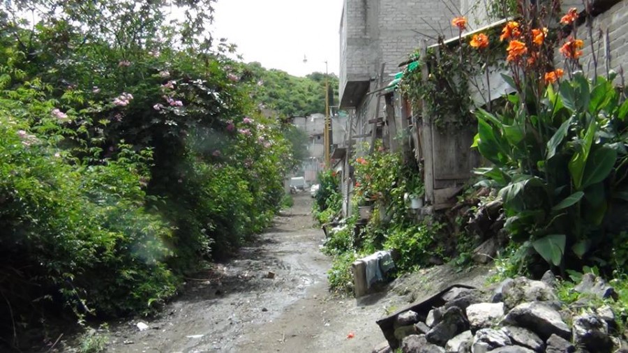 Vecinos piden drenaje en la calle Cañada en la colonia Xico 1ra Sección en Valle de Chalco