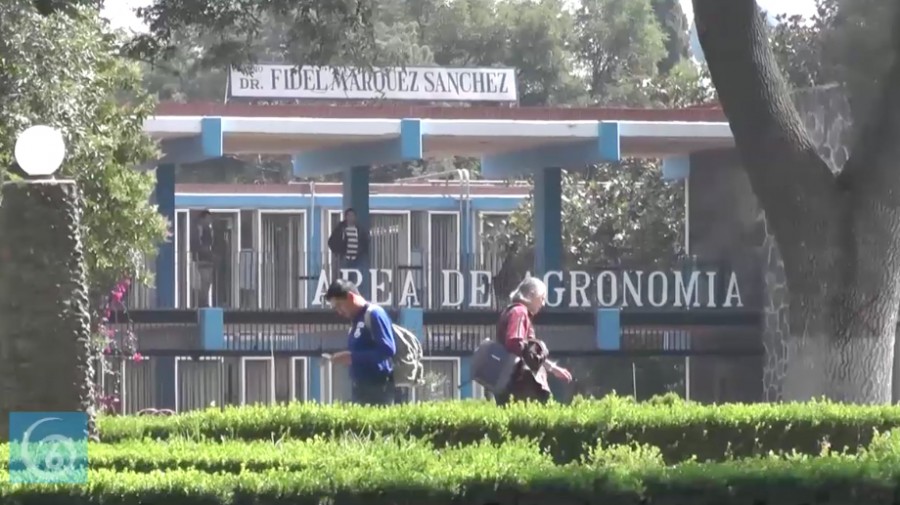 Alumnos de la UACH denuncian intoxicación por consumir alimentos en mal estado