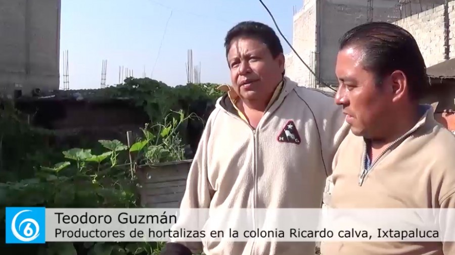 Beneficiados con el proyecto Hortadif en Ixtapaluca