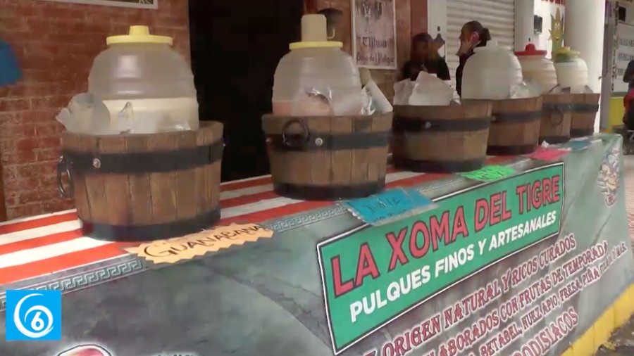Anuncian próxima Feria del Maguey en Coatepec