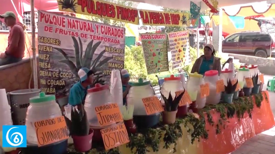 Inicia la cuarta feria del maguey en el pueblo de Coatepec