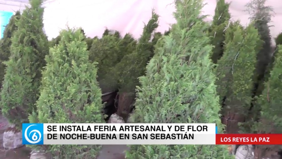 Instalan Feria Artesanal y de Flor de Noche Buena en San Sebastián, Los Reyes