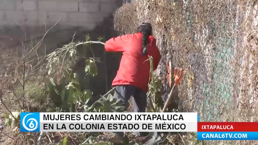 Actividad del grupo Nueva Imagen