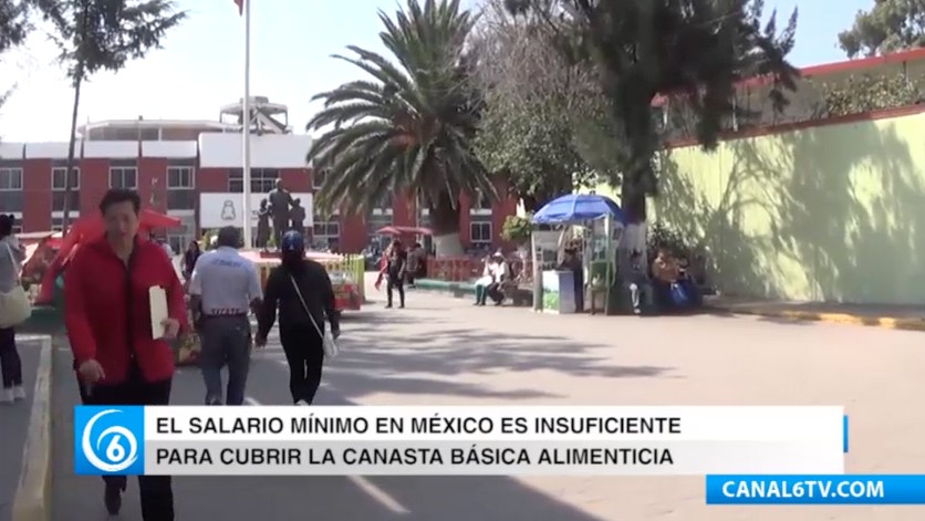 El salario mínimo es insuficiente para cubrir los gastos básicos de cada familia