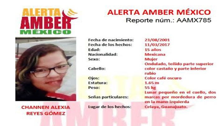 Alerta Amber México