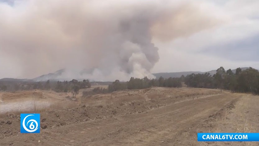 Advierte Probosque que incendios han incrementado en este año