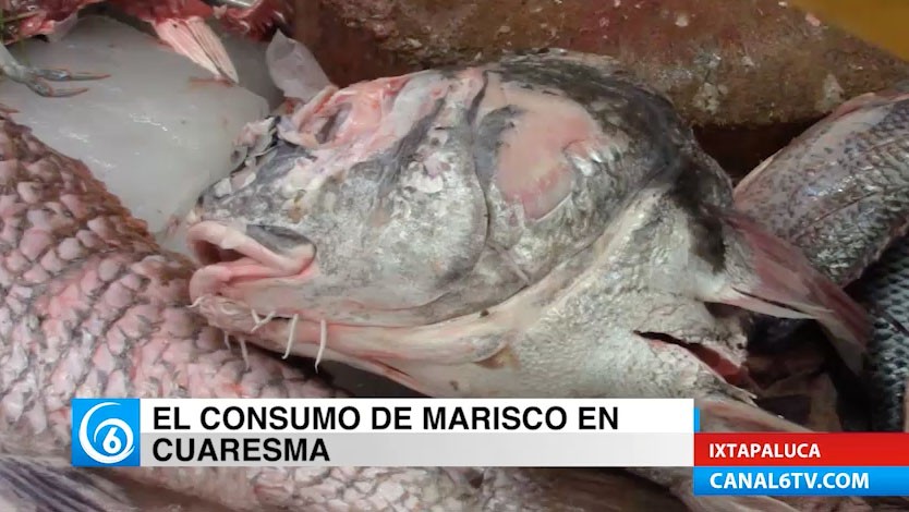 Recomendaciones para el consumo de mariscos en esta temporada