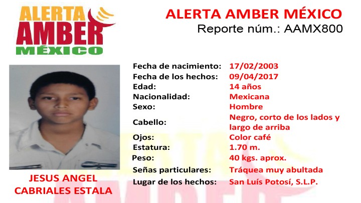 Alerta Amber México