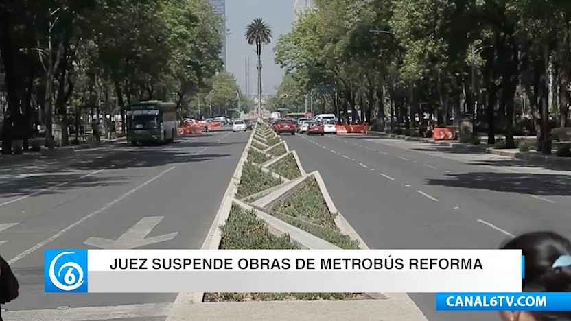 Juez suspende la construcción de la Línea 7 del Metrobús