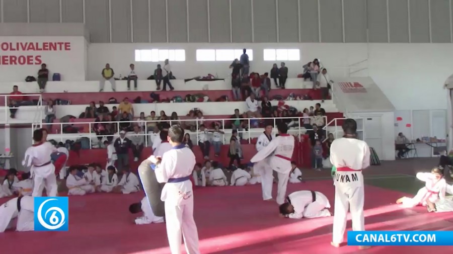 Congreso Internacional de Taekwondo en el Polivalente Los Héroes