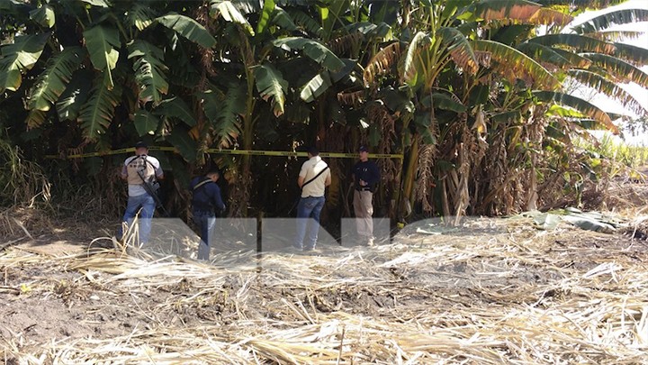 HAYAN 20 CUERPOS EN NAYARIT ¡NARCOFOSAS!