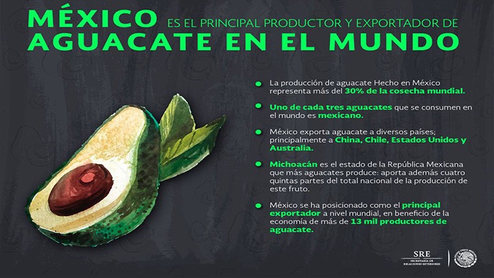 MÉXICO ES EL PRINCIPAL PRODUCTOR DE AGUACATE