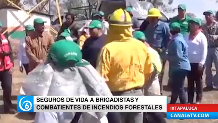 Seguros de vida a brigadistas y combatientes de incendios forestales