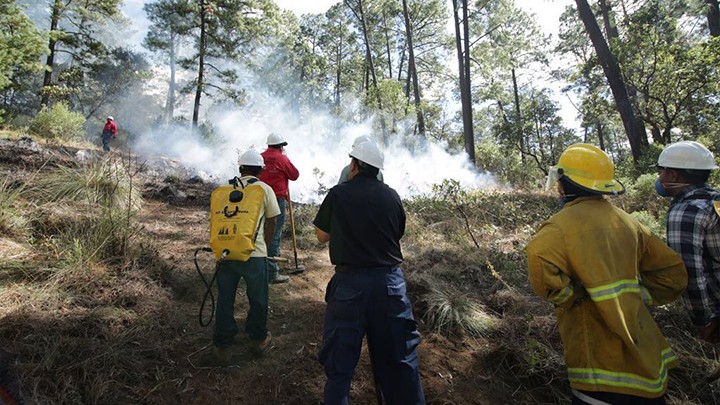 PROBOSQUE BRINDA CAPACITACIÓN PARA PREVENIR Y COMBATIR INCENDIOS