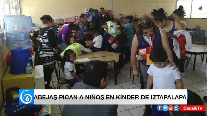 NIÑOS DE UN KÍNDER EN IZTAPALAPA FUERON PICADOS POR ABEJAS