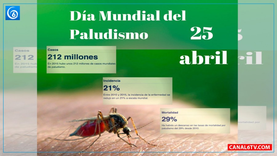 Día Mundial del Paludismo Preparados para vencer el Paludismo": OMS"