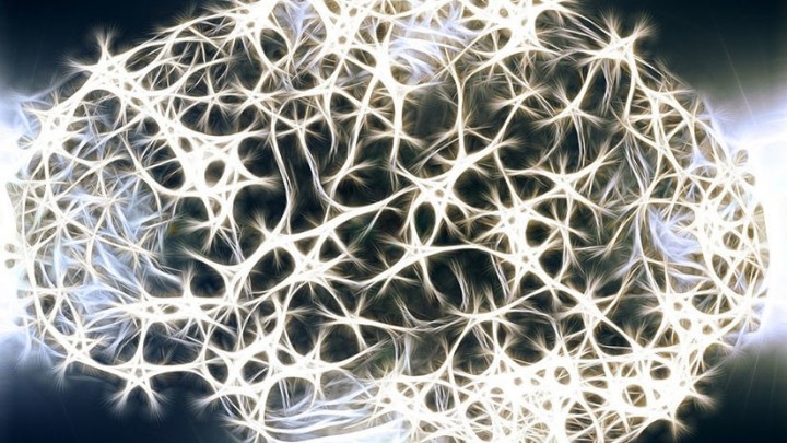 En Reino Unido científicos cultivan un \'mini cerebro\' humano capaz de enviar impulsos para contraer músculos