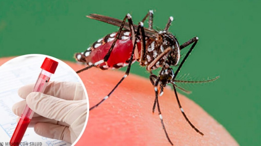 En Brasil sigue aumentando el caso de dengue