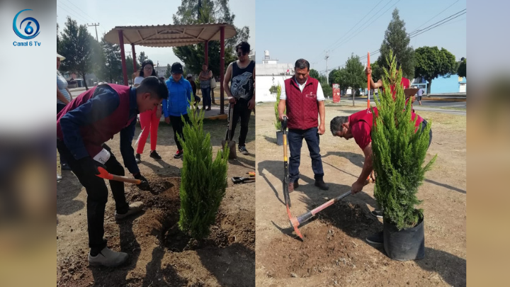 Acciones de reforestación en Chicoloapan
