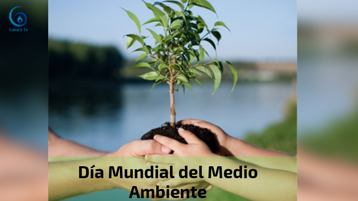 Día Mundial del Medio Ambiente: cinco medidas que propone la UNAM para evitar la catástrofe