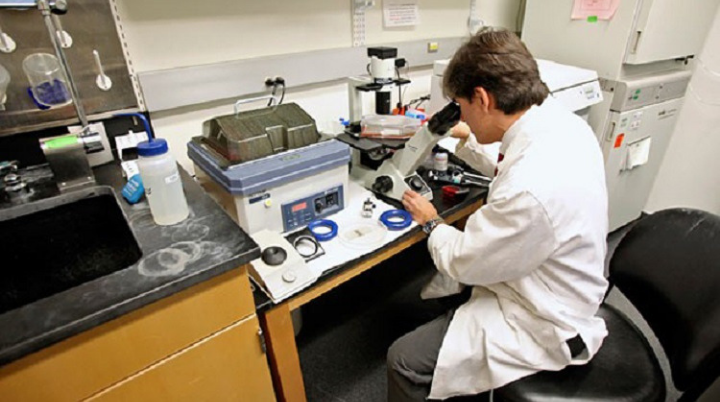 Investigadores de la UNAM desarrollan métodos anticonceptivos para hombres