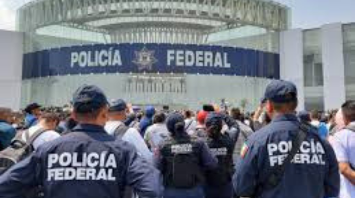 ¿Qué es la Policía Federal?