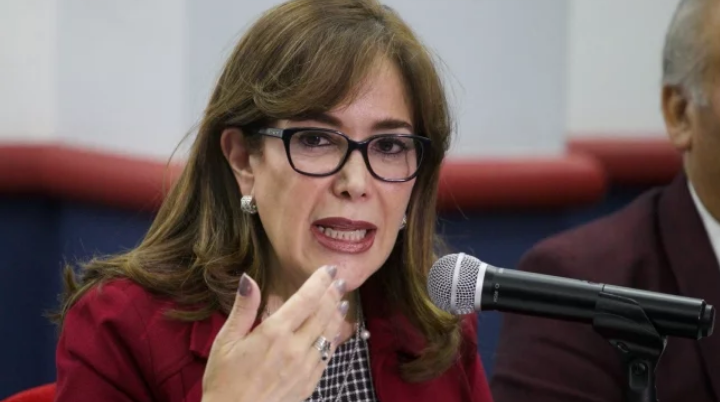 Morena apoya totalmente la Ley Garrote