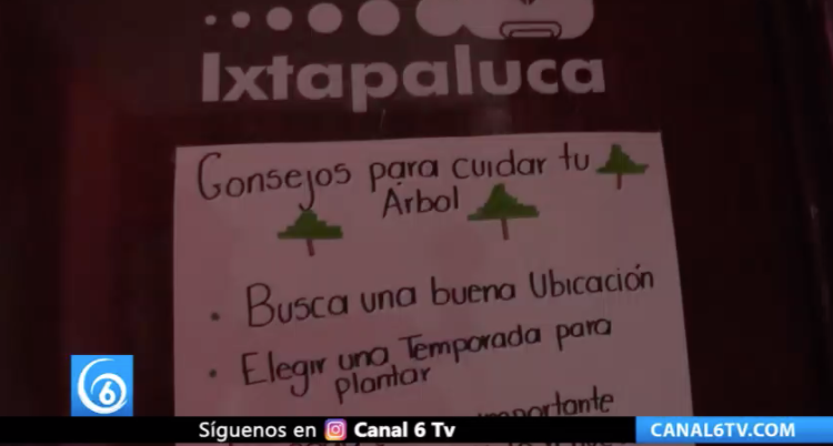 ¿Quieres apoyar a nuestro medio ambiente? Conoce los detalles en la siguiente nota