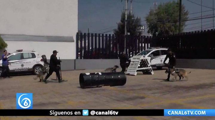 Unidad canina, apoya en operativos de seguridad en el municipio de Ixtapaluca