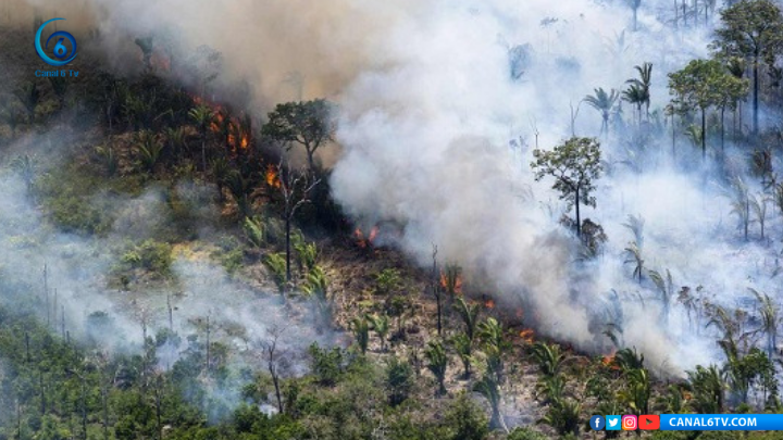 Sin recursos para frenar incendios en la Amazonia: Bolsonaro