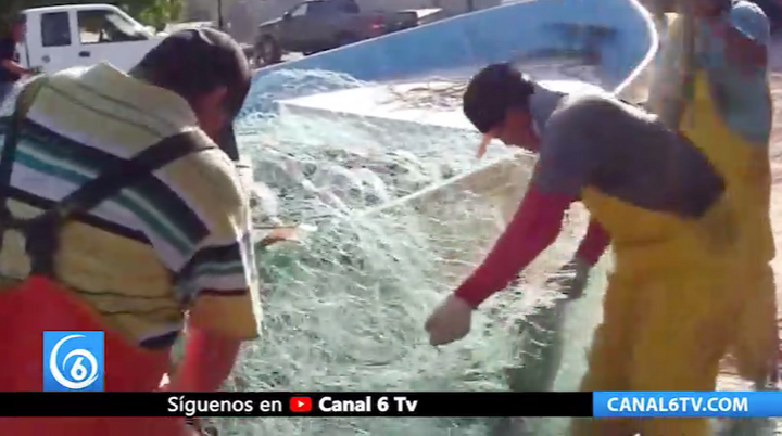 Ante recorte del 52% en apoyos, pescadores quedan a merced de los coyotes