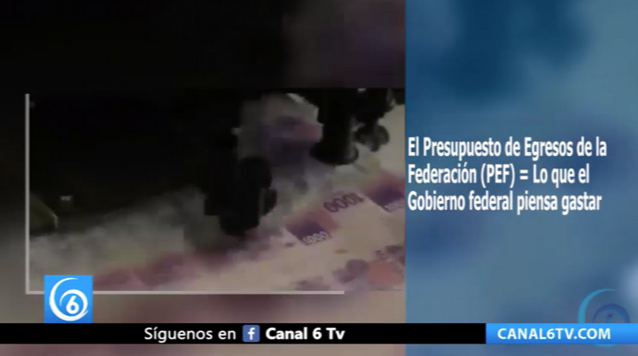 ¿Qué es el presupuesto de egresos de la federación y qué función tiene?