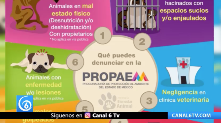 Para castigar el maltrato animal se debe denunciar ante la PROPAEM