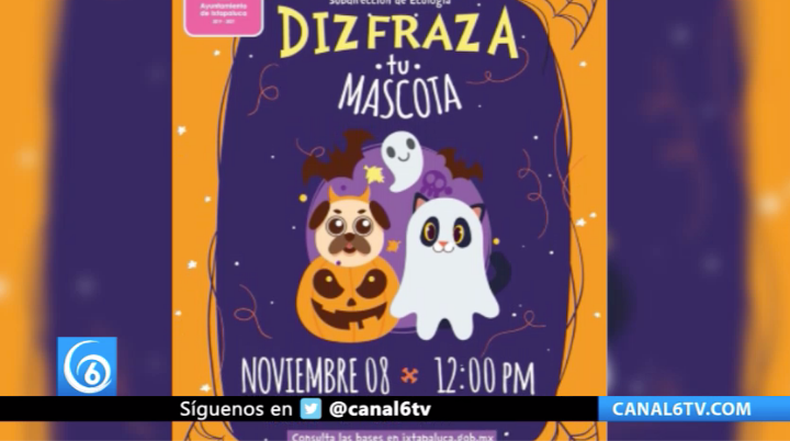 Ixtapaluca tendrá concurso de disfraces para mascotas