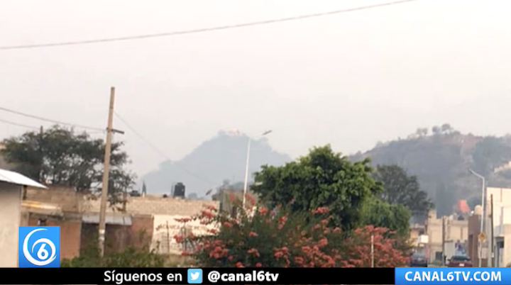 Balean a personal de limpia por cortar flores