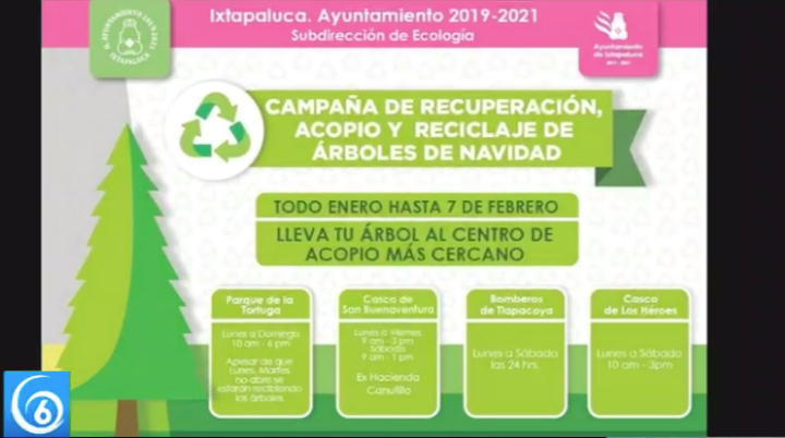 Inician campañas de reciclaje de árboles de navidad 2020 en Ixtapaluca