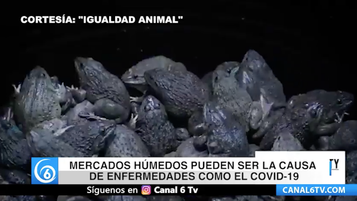 Mercados húmedos pueden ser la causa de enfermedades como el COVID-19