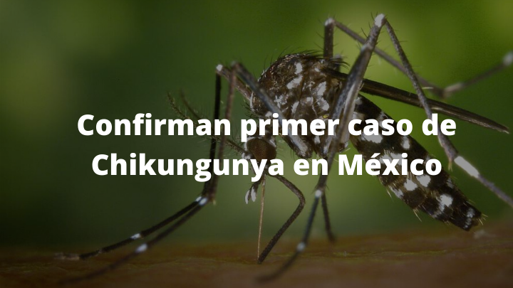 Confirman primer caso de Chikungunya en México