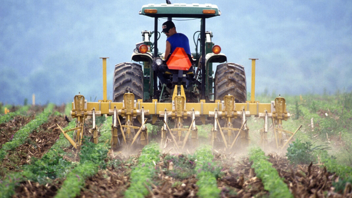 En Canadá, 19 trabajadores mexicanos agrícolas con COVID-19