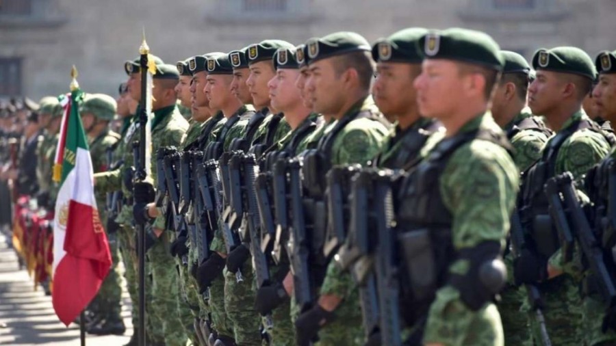 El papel de las Fuerzas Armadas en las labores de seguridad pública