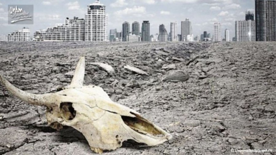 La Tierra vive su sexta extinción masiva: UNAM