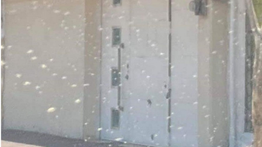Balean la vivienda de un político en Los Reyes La Paz