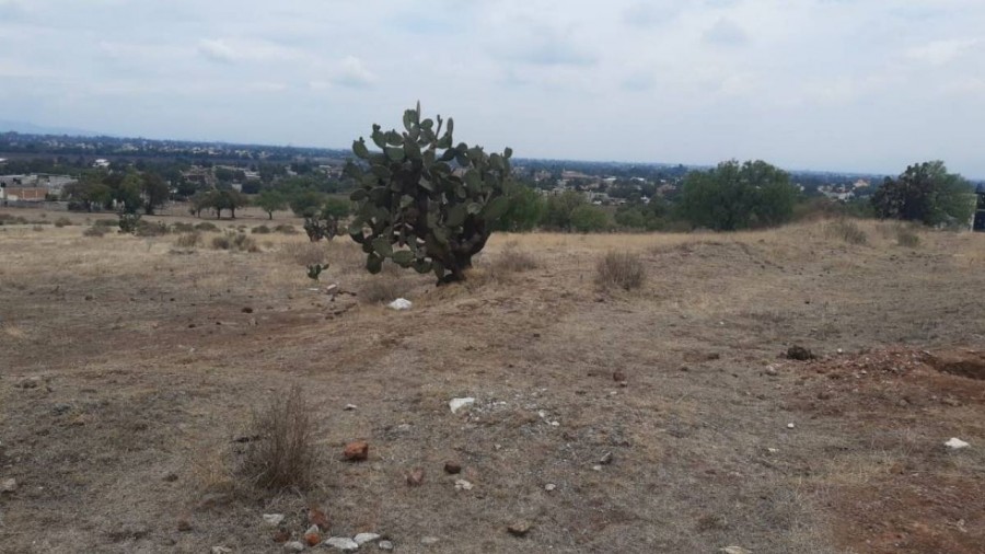 Localizan tomas clandestinas de hidrocarburo en el EdoMex