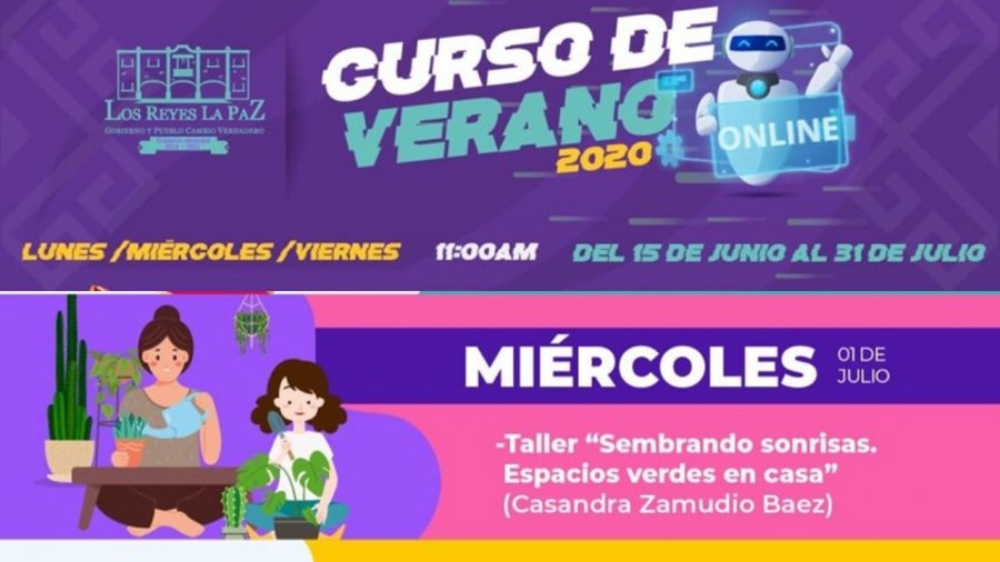 Los Reyes La Paz ofrece cursos de verano online